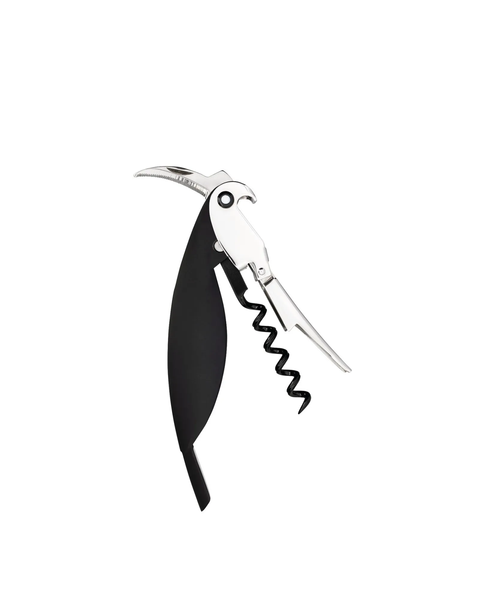 Parrot